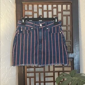 Size 0/27 American Eagle Outfitters Blue & Red Striped Mini Skirt